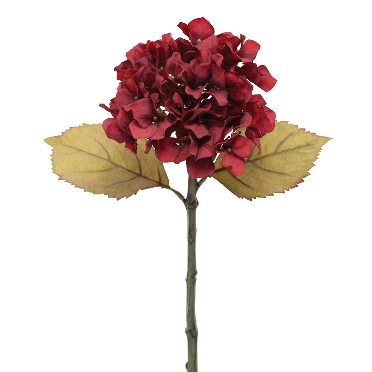 19" Burgundy Canterbury Hydrangea Stem