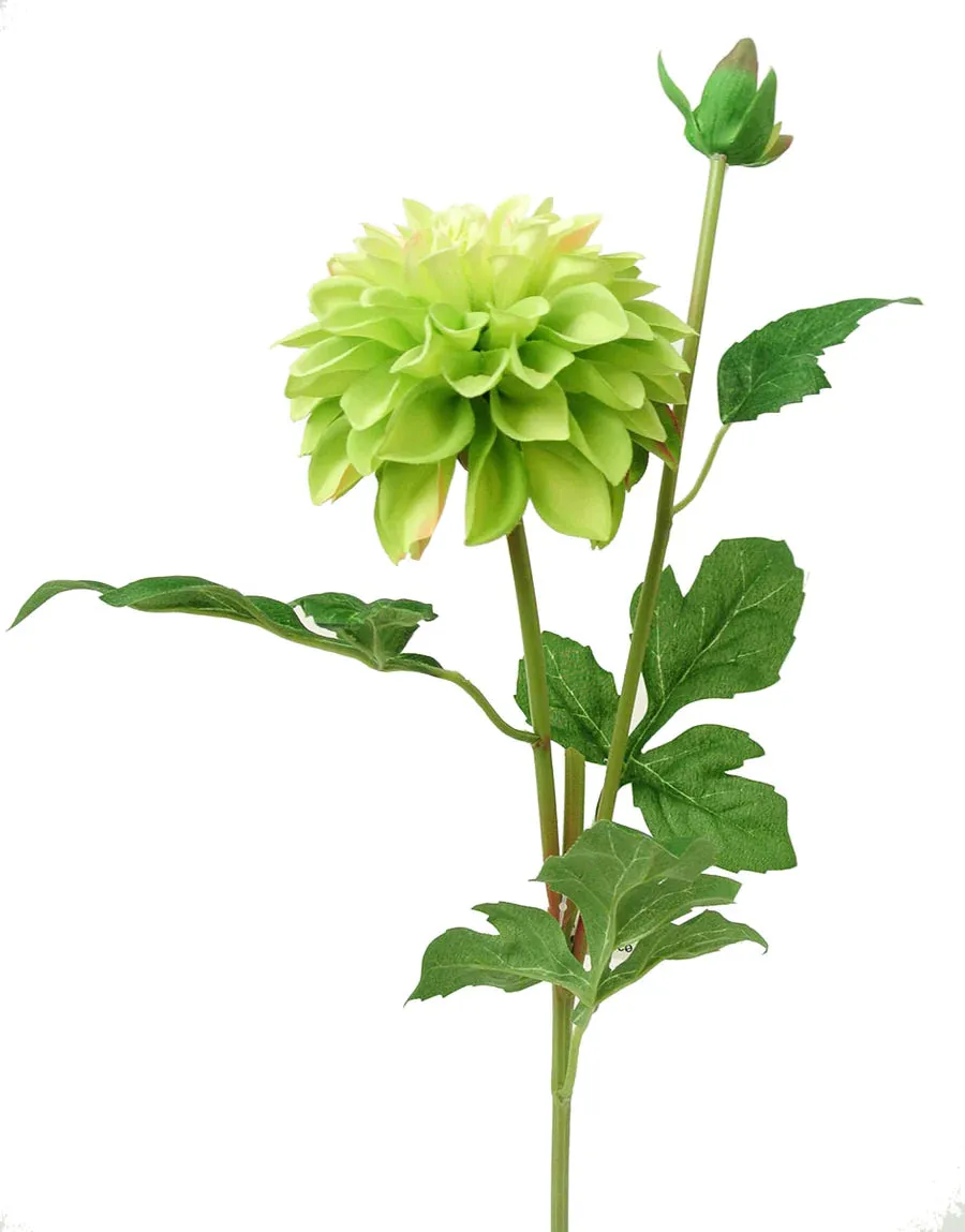 Garden Dahlia w/Bud 24"  Green 023962GRN