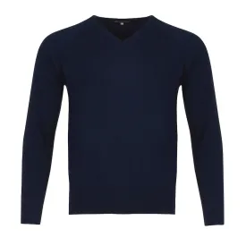 Men's Cashmere V-Neck Sweater in Navy