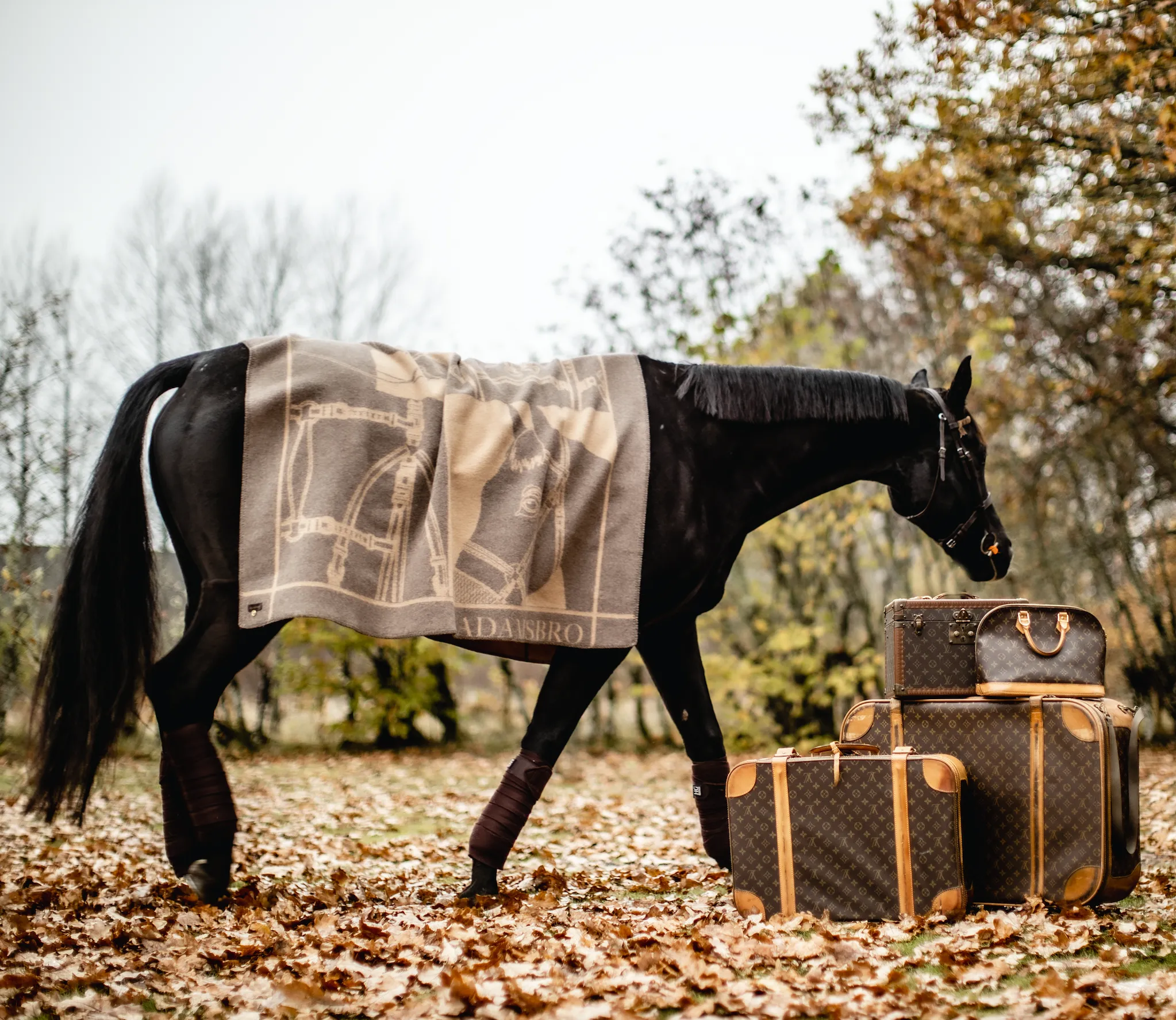 Merino Luxe Heritage Throw Brown