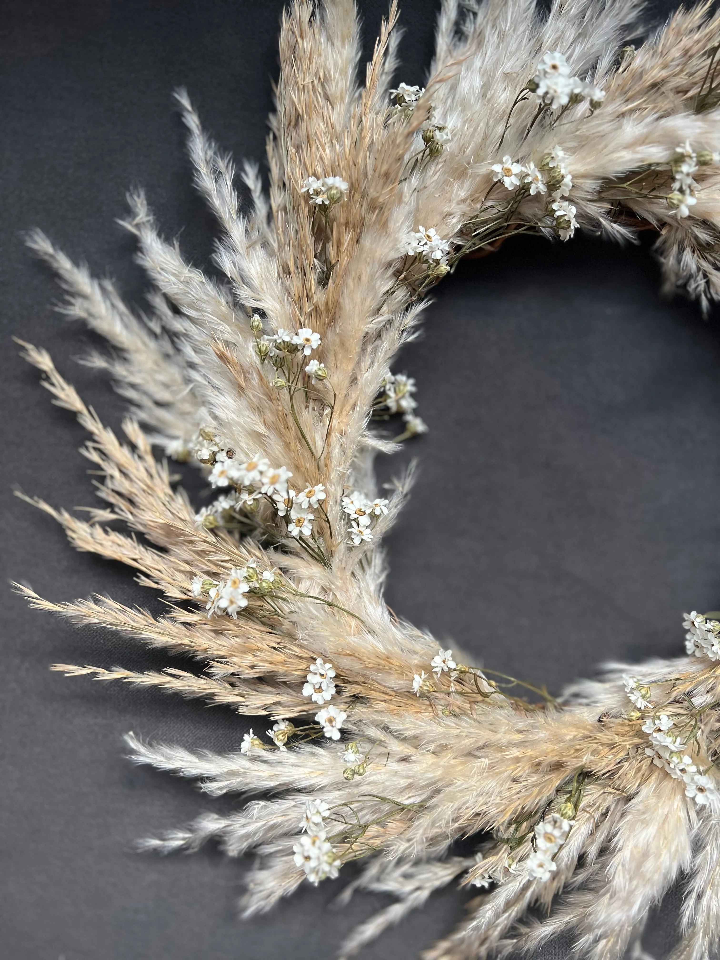 Pampas Door Wreath, Dried Daisy Wreath, Pampas and Daisy Wall Decor, Dried Flower Wreath Wild Look