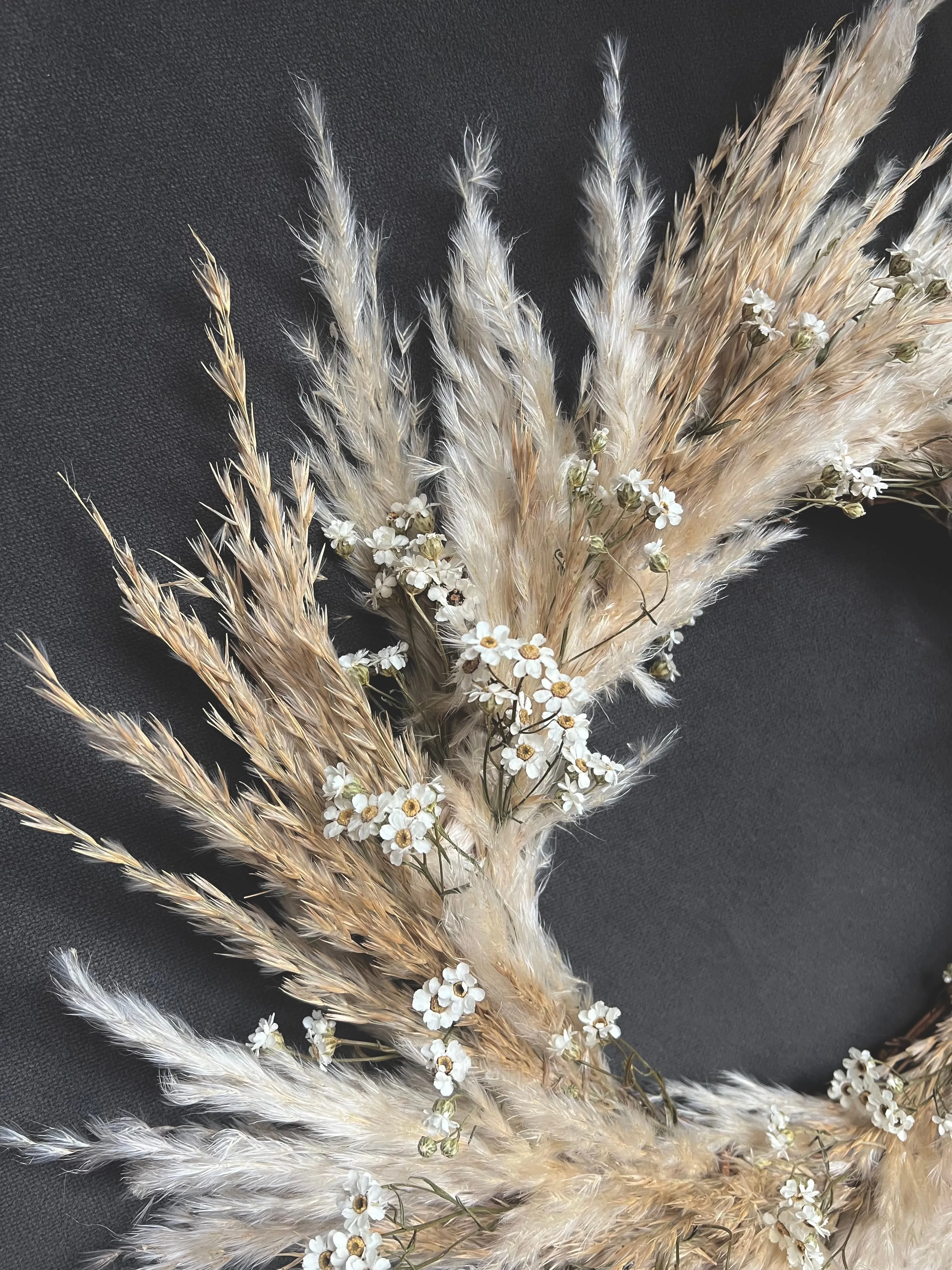 Pampas Door Wreath, Dried Daisy Wreath, Pampas and Daisy Wall Decor, Dried Flower Wreath Wild Look