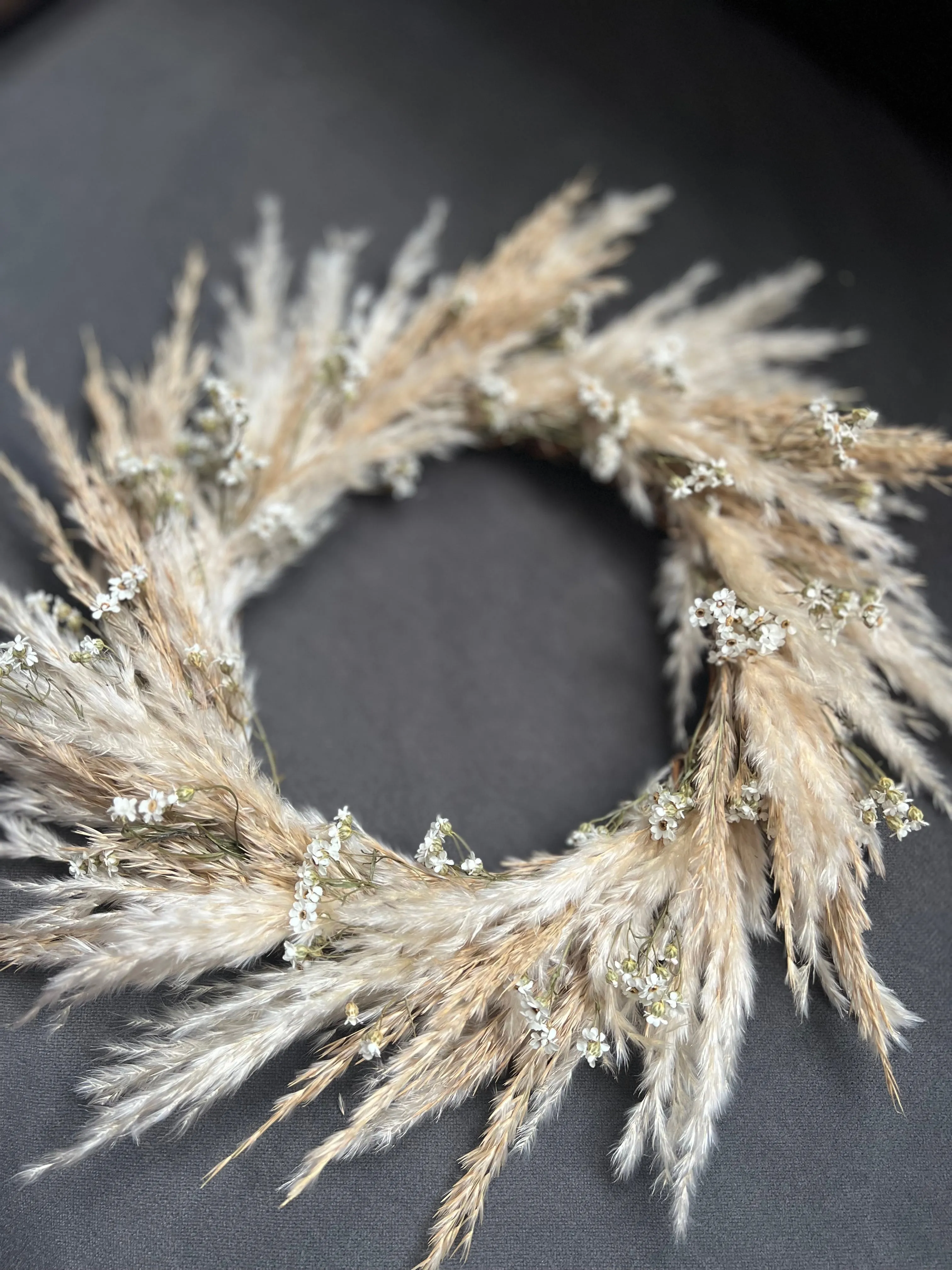 Pampas Door Wreath, Dried Daisy Wreath, Pampas and Daisy Wall Decor, Dried Flower Wreath Wild Look