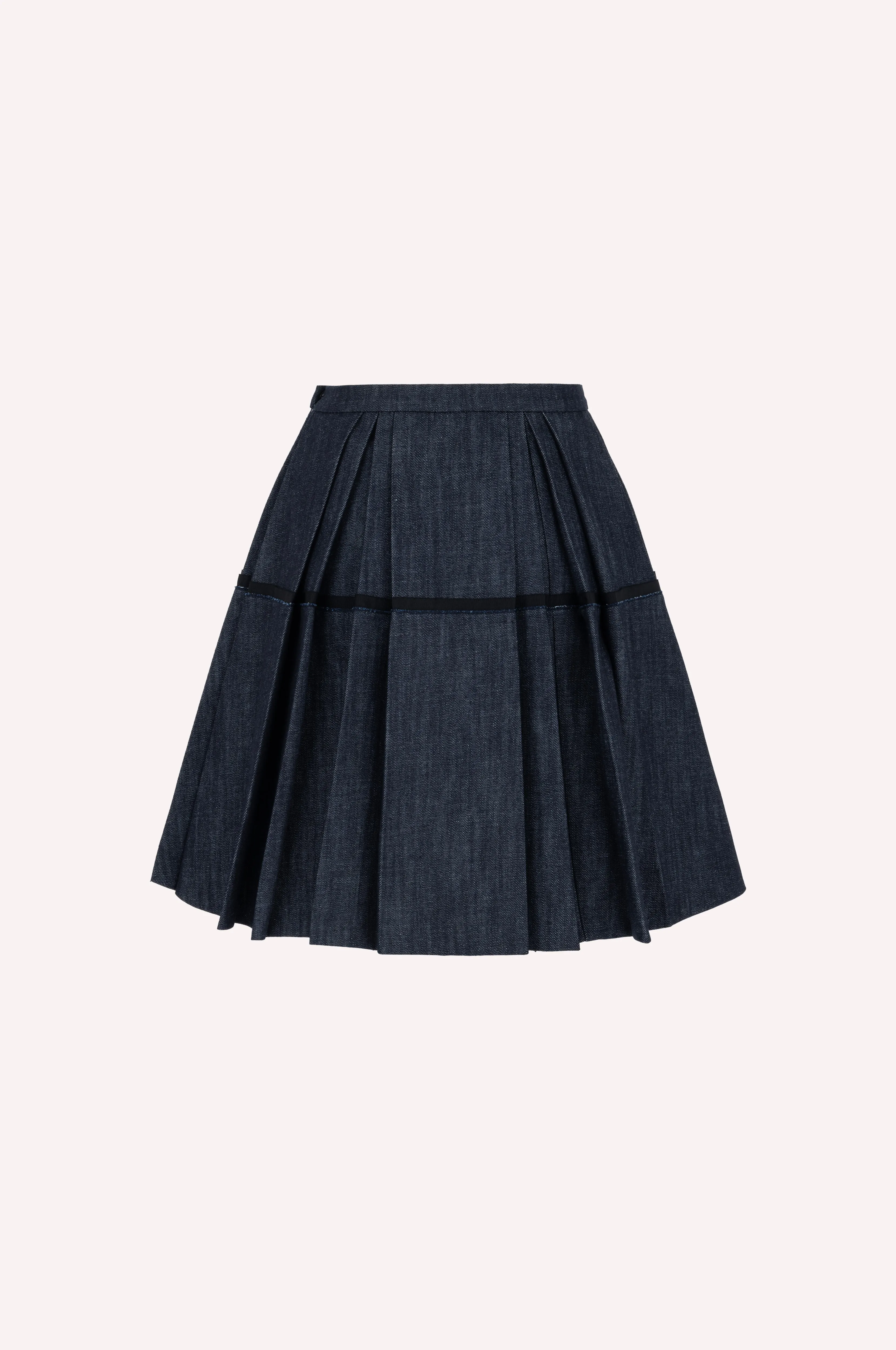 Pleated Skirt